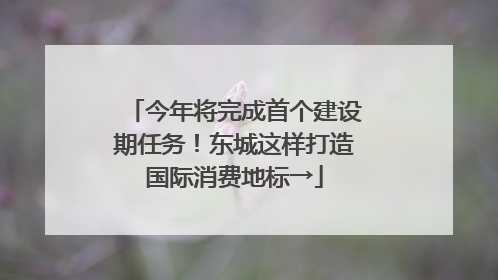 今年将完成首个建设期任务！东城这样打造国际消费地标→