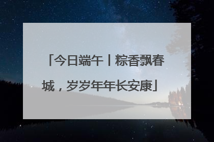 今日端午丨粽香飘春城，岁岁年年长安康