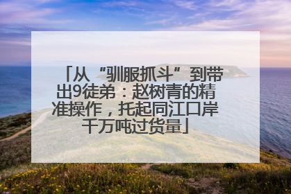 从“驯服抓斗”到带出9徒弟：赵树青的精准操作，托起同江口岸千万吨过货量
