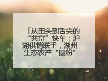 从田头到舌尖的“共富”快车：沪湖供销联手，湖州生态农产“圈粉”大上海