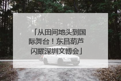 从田间地头到国际舞台！东昌葫芦闪耀深圳文博会