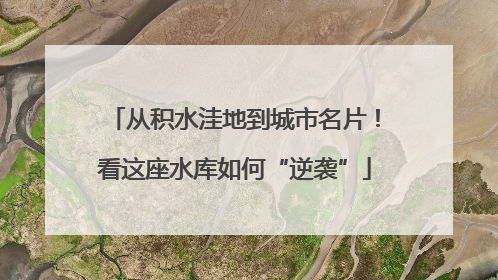 从积水洼地到城市名片！看这座水库如何“逆袭”