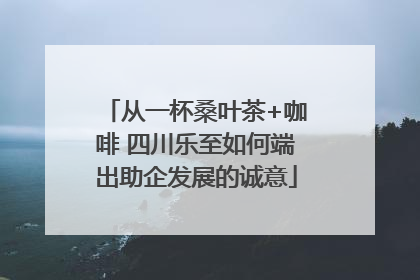从一杯桑叶茶+咖啡 四川乐至如何端出助企发展的诚意
