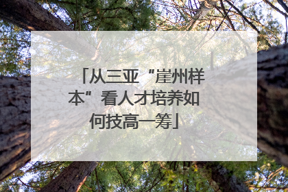 从三亚“崖州样本”看人才培养如何技高一筹