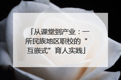 从课堂到产业：一所民族地区职校的“互嵌式”育人实践