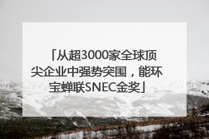 从超3000家全球顶尖企业中强势突围，能环宝蝉联SNEC金奖