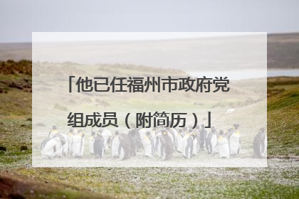 他已任福州市政府党组成员（附简历）