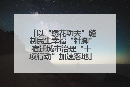 以“绣花功夫”缝制民生幸福“针脚” 宿迁城市治理“十项行动”加速落地