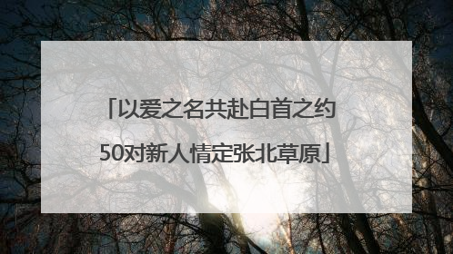 以爱之名共赴白首之约 50对新人情定张北草原
