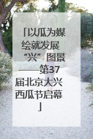 以瓜为媒 绘就发展“兴”图景——第37届北京大兴西瓜节启幕