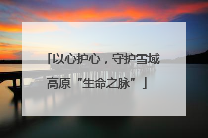 以心护心，守护雪域高原“生命之脉”