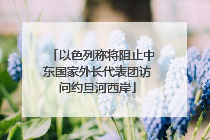 以色列称将阻止中东国家外长代表团访问约旦河西岸