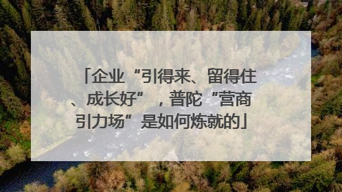企业“引得来、留得住、成长好”，普陀“营商引力场”是如何炼就的