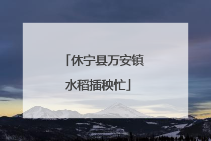 休宁县万安镇水稻插秧忙