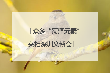 众多“菏泽元素”亮相深圳文博会