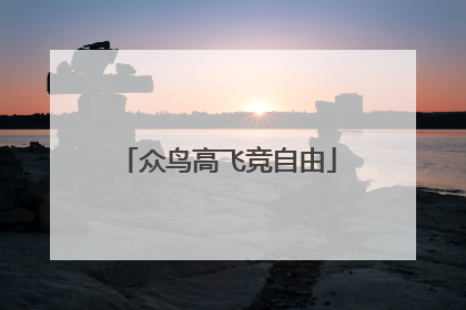 众鸟高飞竞自由