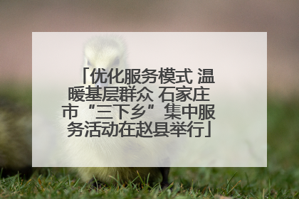 优化服务模式 温暖基层群众 石家庄市“三下乡”集中服务活动在赵县举行