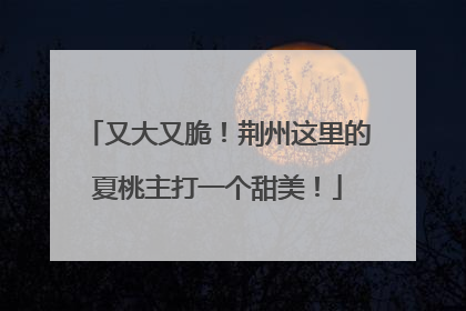 又大又脆！荆州这里的夏桃主打一个甜美！
