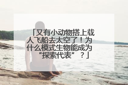 又有小动物搭上载人飞船去太空了！为什么模式生物能成为“探索代表”？