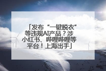 发布“一键脱衣”等违规AI产品？涉小红书、哔哩哔哩等平台！上海出手