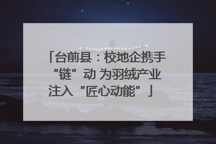 台前县：校地企携手“链”动 为羽绒产业注入“匠心动能”
