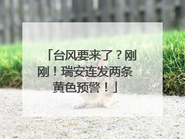 台风要来了？刚刚！瑞安连发两条黄色预警！