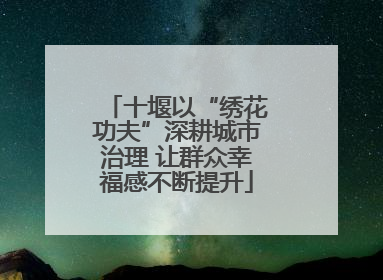 十堰以“绣花功夫”深耕城市治理 让群众幸福感不断提升