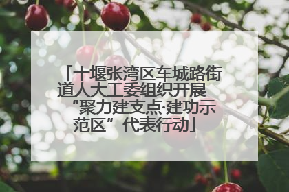 十堰张湾区车城路街道人大工委组织开展 “聚力建支点·建功示范区”代表行动