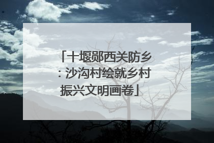 十堰郧西关防乡：沙沟村绘就乡村振兴文明画卷