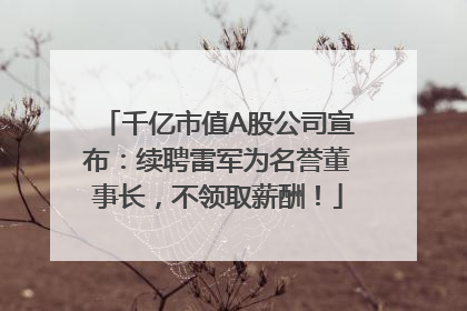 千亿市值A股公司宣布：续聘雷军为名誉董事长，不领取薪酬！