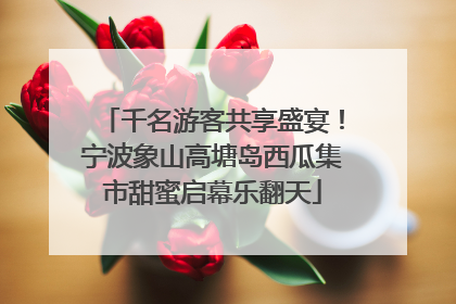 千名游客共享盛宴！宁波象山高塘岛西瓜集市甜蜜启幕乐翻天