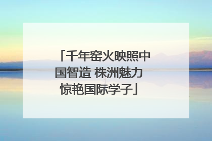 千年窑火映照中国智造 株洲魅力惊艳国际学子