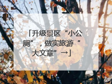 升级景区“小公厕”，做实旅游“大文章”→