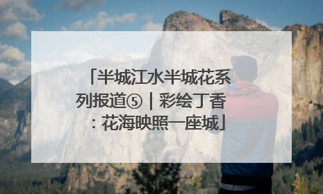 半城江水半城花系列报道⑤｜彩绘丁香：花海映照一座城