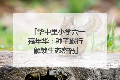 华中里小学六一嘉年华：种子旅行解锁生态密码