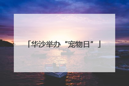 华沙举办“宠物日”