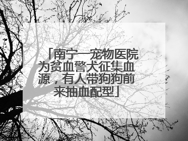 南宁一宠物医院为贫血警犬征集血源，有人带狗狗前来抽血配型