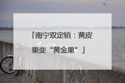 南宁双定镇：黄皮果变“黄金果”