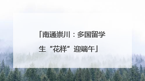 南通崇川：多国留学生“花样”迎端午