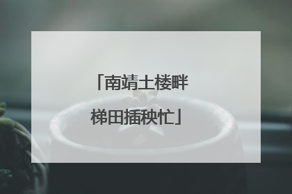南靖土楼畔 梯田插秧忙