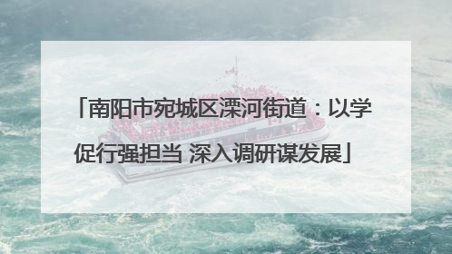 南阳市宛城区溧河街道：以学促行强担当 深入调研谋发展
