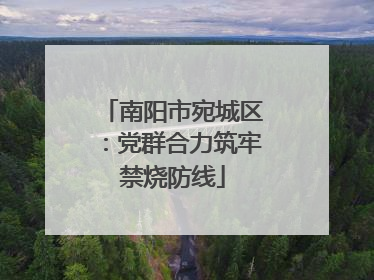 南阳市宛城区：党群合力筑牢禁烧防线