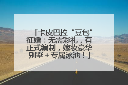 卡皮巴拉“豆包”征婚：无需彩礼，有正式编制，嫁妆豪华别墅＋专属泳池！