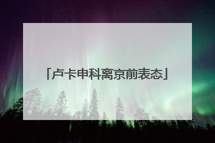 卢卡申科离京前表态