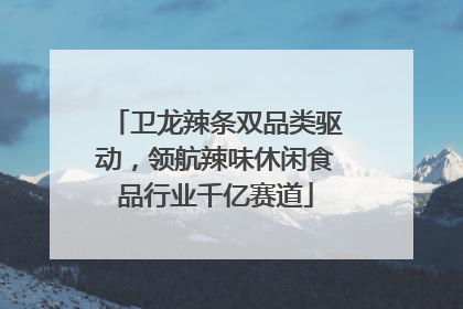 卫龙辣条双品类驱动，领航辣味休闲食品行业千亿赛道
