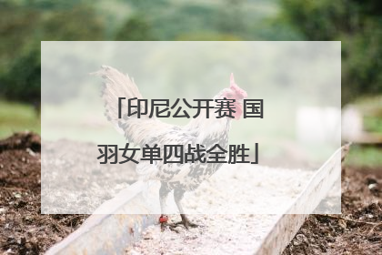 印尼公开赛 国羽女单四战全胜