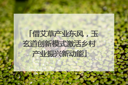 借艾草产业东风，玉玄道创新模式激活乡村产业振兴新动能