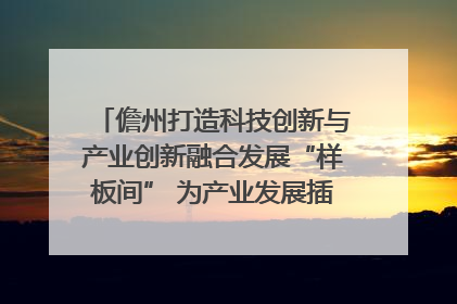 儋州打造科技创新与产业创新融合发展“样板间” 为产业发展插上科技“翅膀”