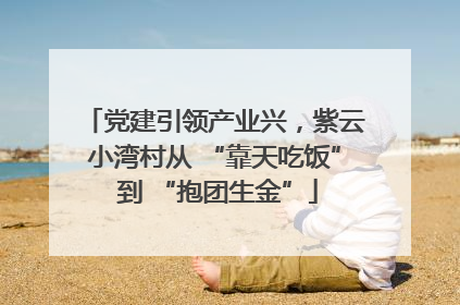 党建引领产业兴，紫云小湾村从 “靠天吃饭” 到 “抱团生金”