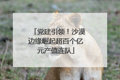 党建引领！沙漠边缘崛起超百个亿元产值连队